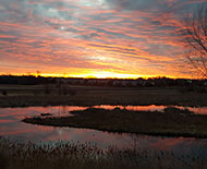 Gourgeous Sunset