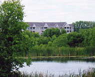 Beautiful Wetlands