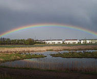 Beautiful Rainbow